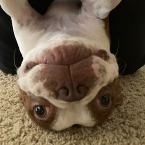 Meet your Posher, Ian